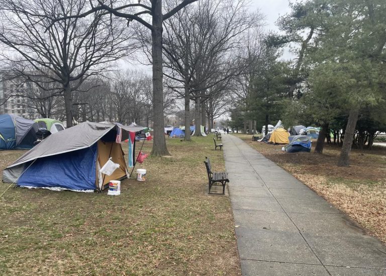 HEIMILISLAUSIR TJALDA VIÐ VALDASTOFNANIR Í WASHINGTON DC