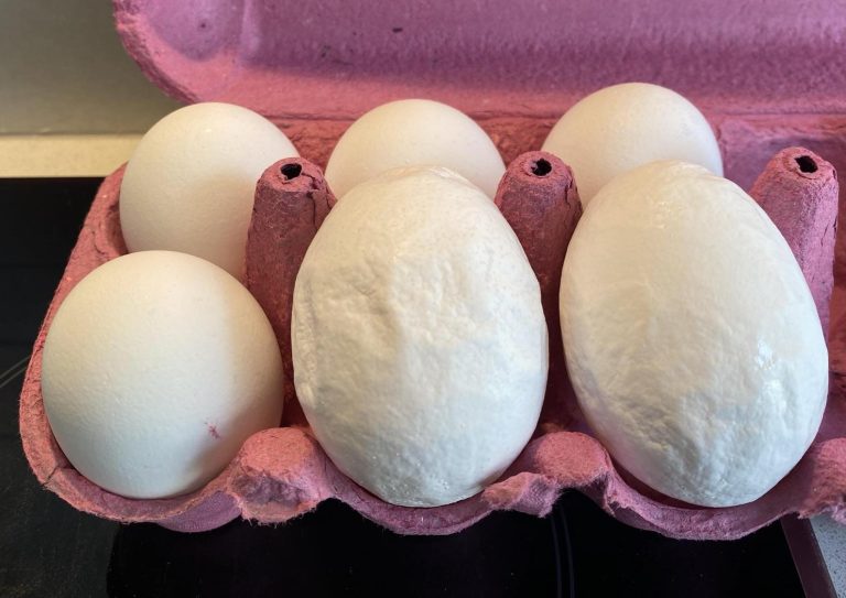 SKRÝTIN STJÖRNUEGG