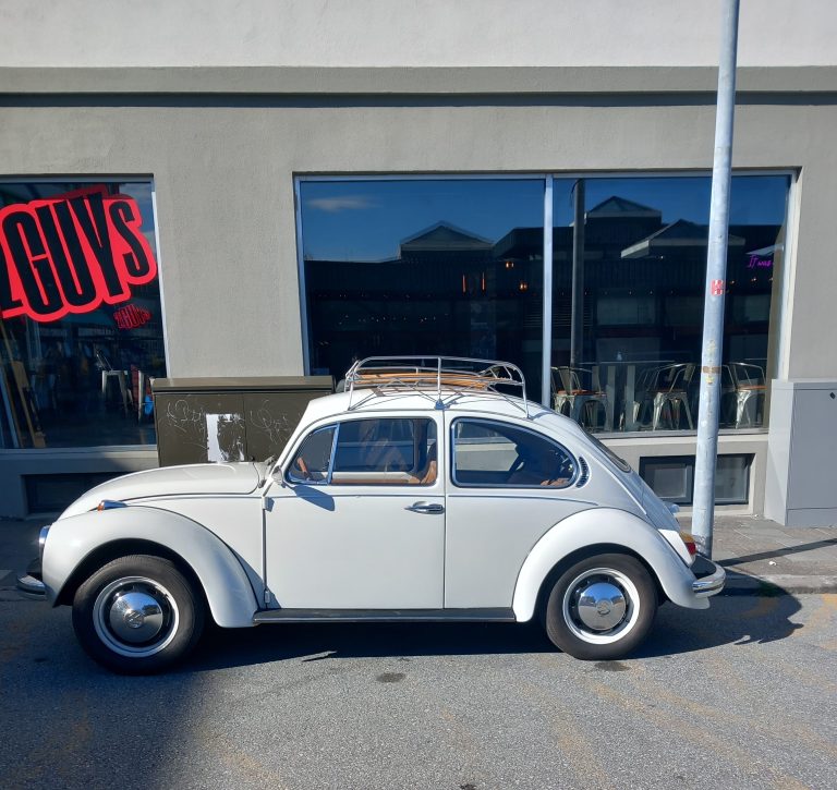 HEIMSMEISTARI Á HLEMMI