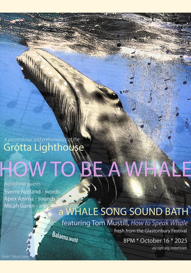 AÐ VERA HVALUR Í GRÓTTUVITA