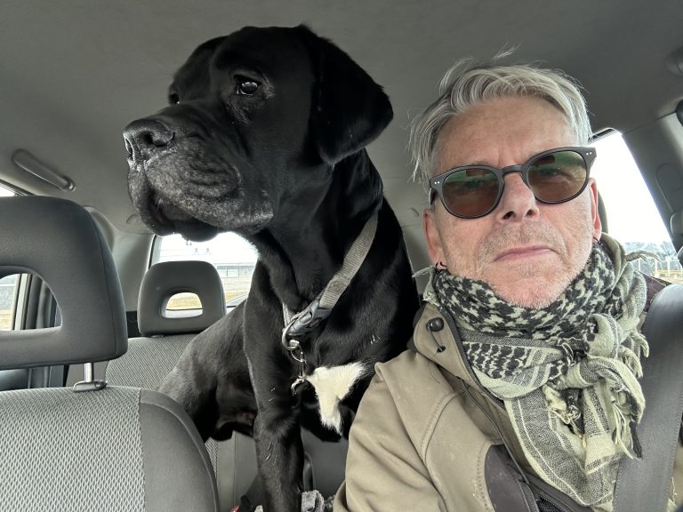 VEGAN, SORPFLOKKUN OG STEFNULJÓS