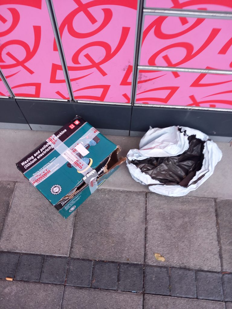 HUGSAR BETUR UM BÍLINN EN UMHVERFIÐ