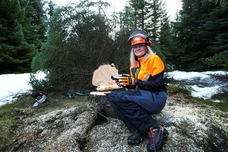 BORGARSTJÓRI FELLIR OSLÓARTRÉ Í HEIÐMÖRK OG GEFUR ANNAÐ TIL FÆREYJA