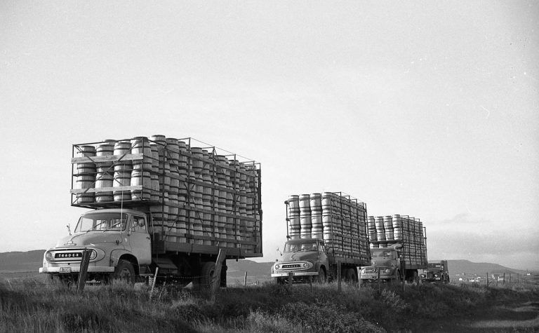 „TUNNU!“ HRÓPUÐU SÍLDARSTÚLKURNAR
