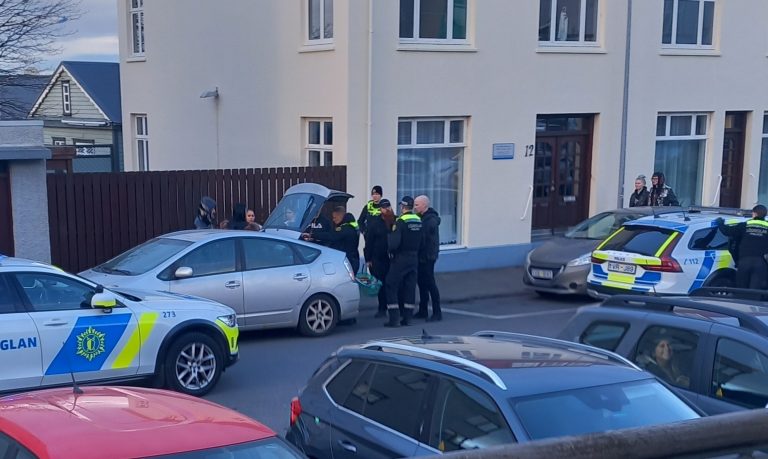 GLÆPAGENGI Í KRÓNUNNI Á HALLVEIGARSTÍG – LÖGREGLAN ÞURFTI SEX KÖRFUR TIL AÐ AKA ÞÝFINU AFTUR INN Í BÚÐ