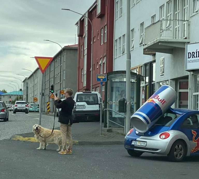 SAFNAR HUNDATEPPUM EFTIR AÐ HAFA VERIÐ VÍSAÐ ÚT AF KAFFI VEST