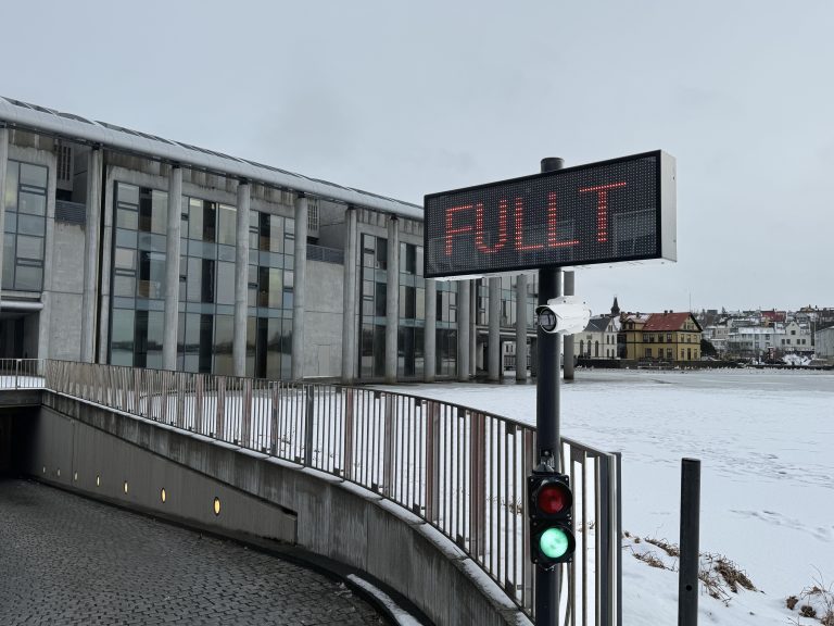 LYGAVEFUR Í RÁÐHÚSI