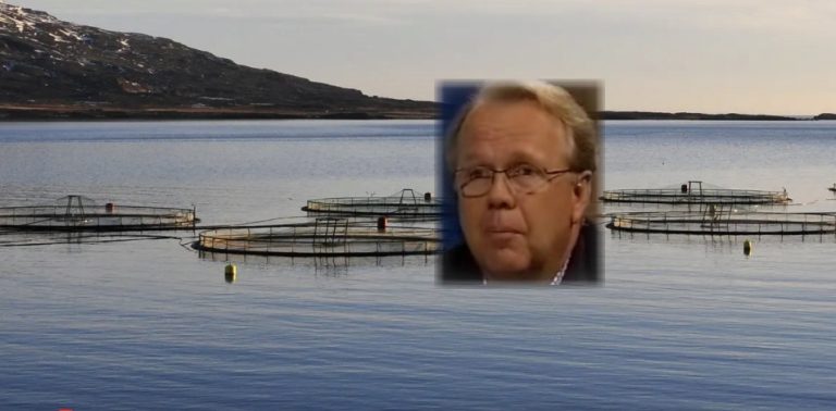 ELDISFISKAR ERU LÍKA DÝR